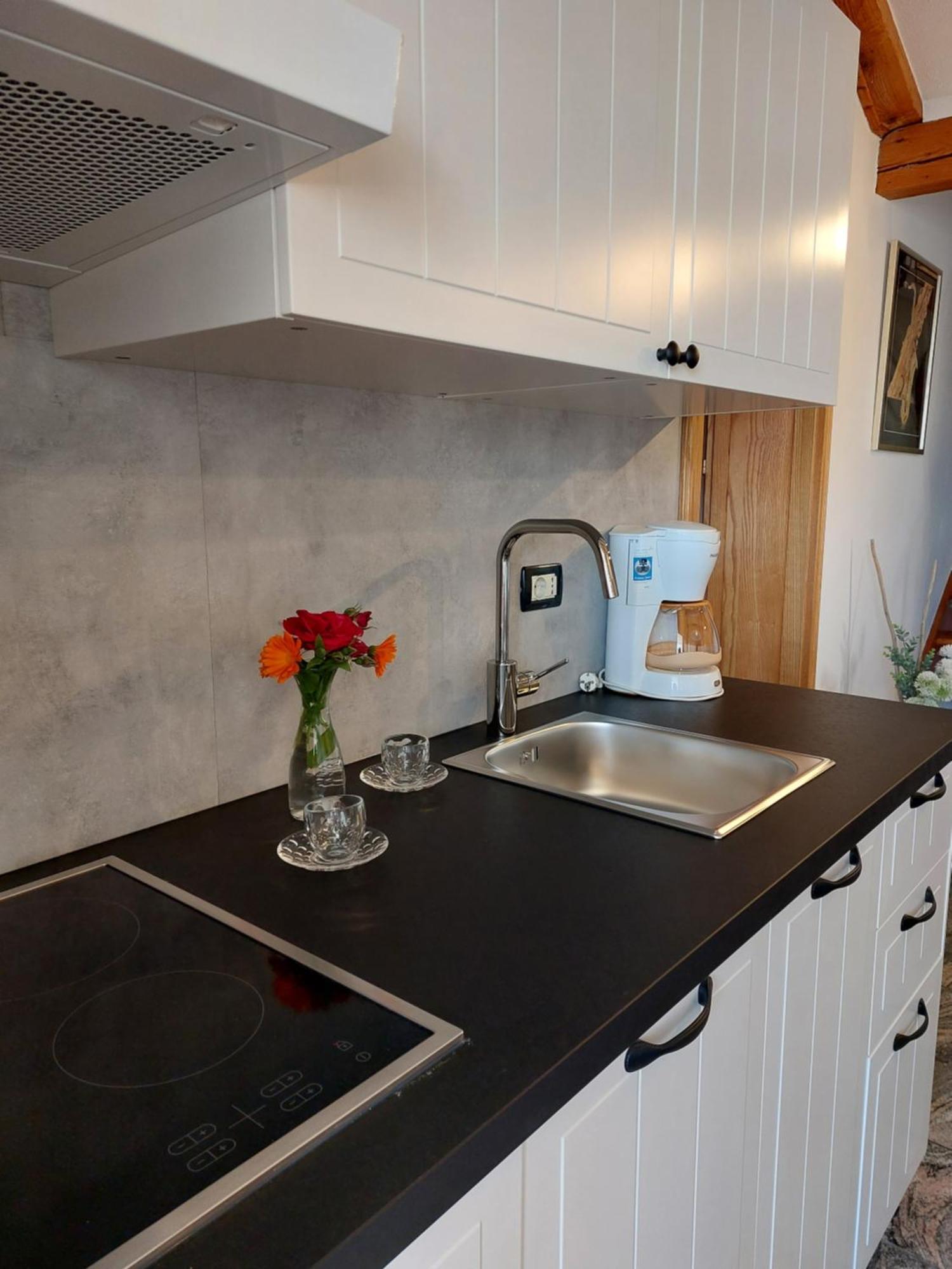 Apartment Guesthouse Mila *